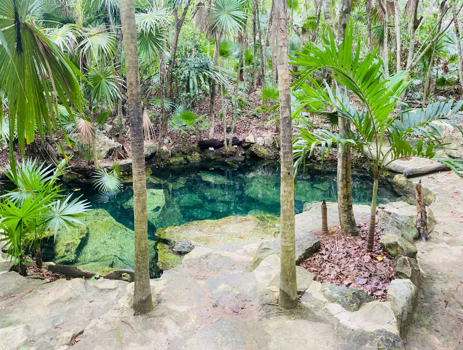 Visit Beautiful Cenotes of Playa del Carmen